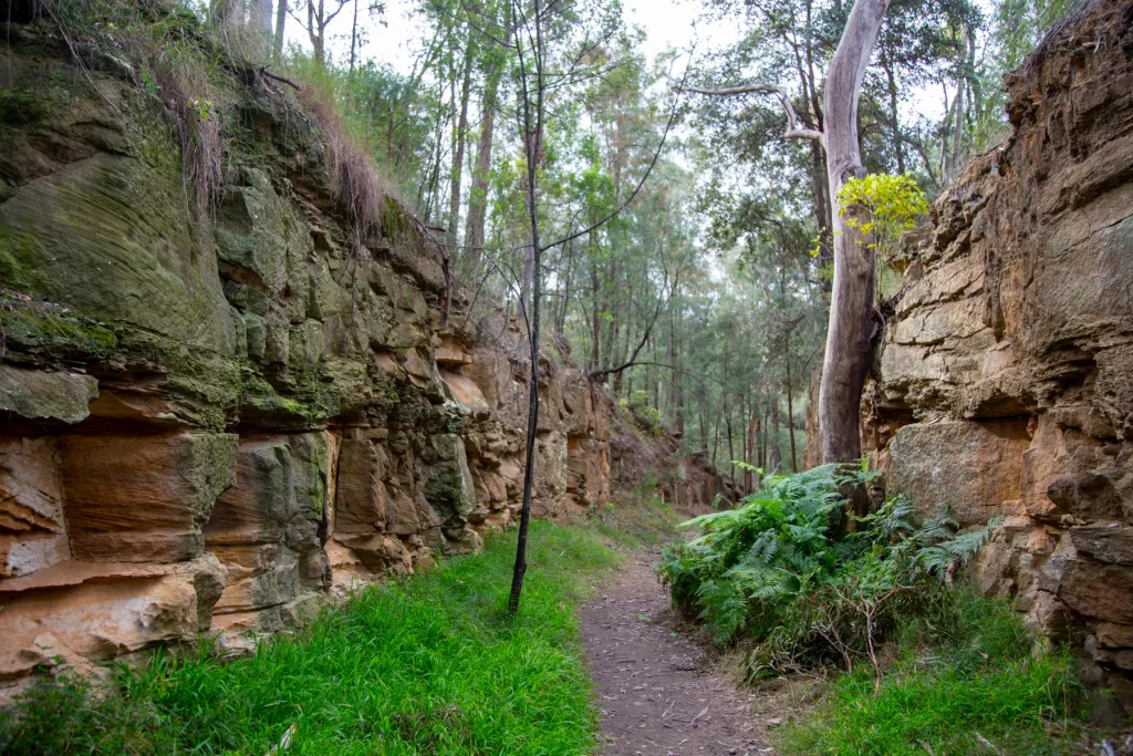 Lapstone Zig Zag Walking Track