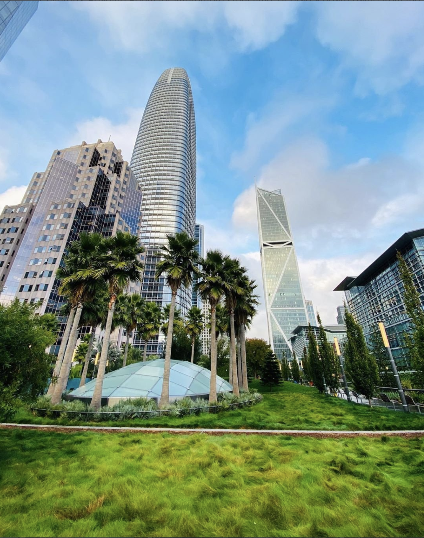 Salesforce Park