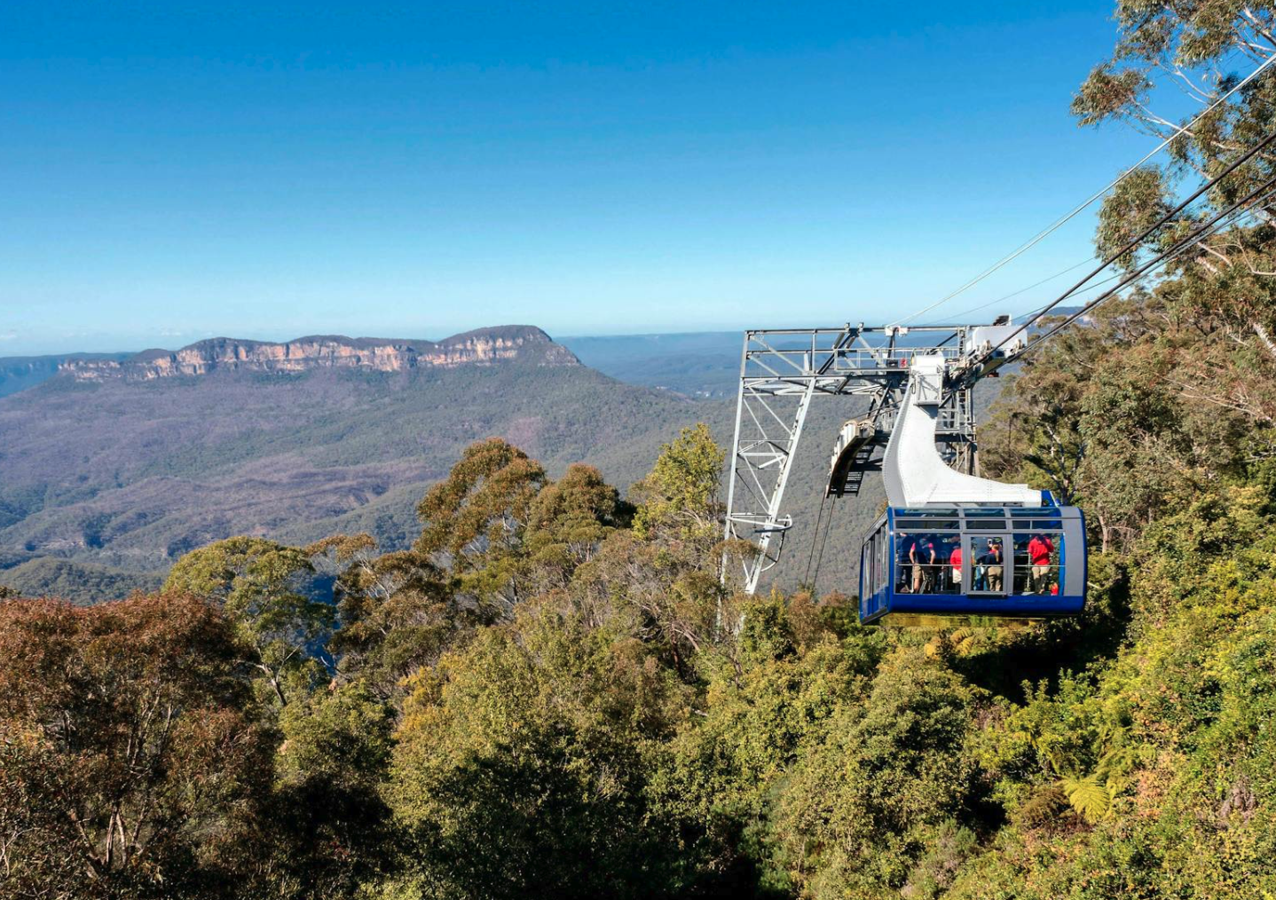 Scenic World