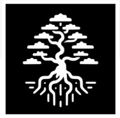 Bonsai Software