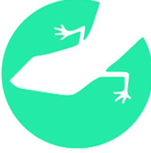 Lizard Global