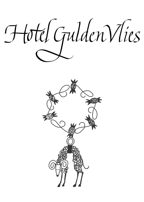 Hôtel Gulden Vlies
