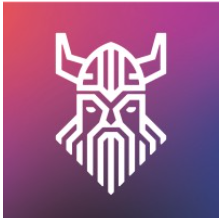 Vidar Cybersecurity