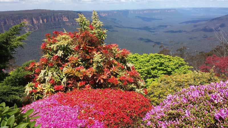 6. Hill of Grace - 52 Sublime Point Road