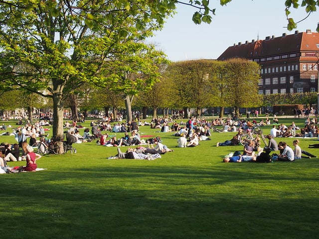 The King's Garden