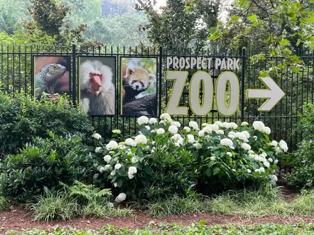 Brooklyn Zoo