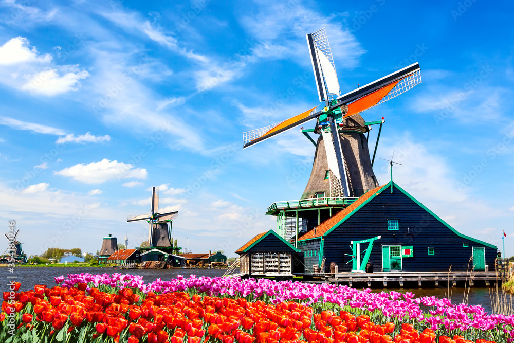 Netherlands 🇳🇱 