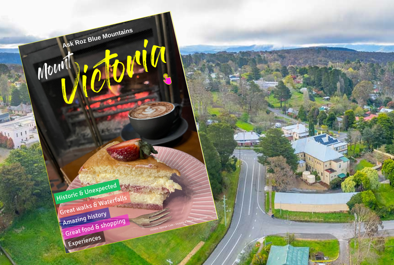 Mount Vic eMag