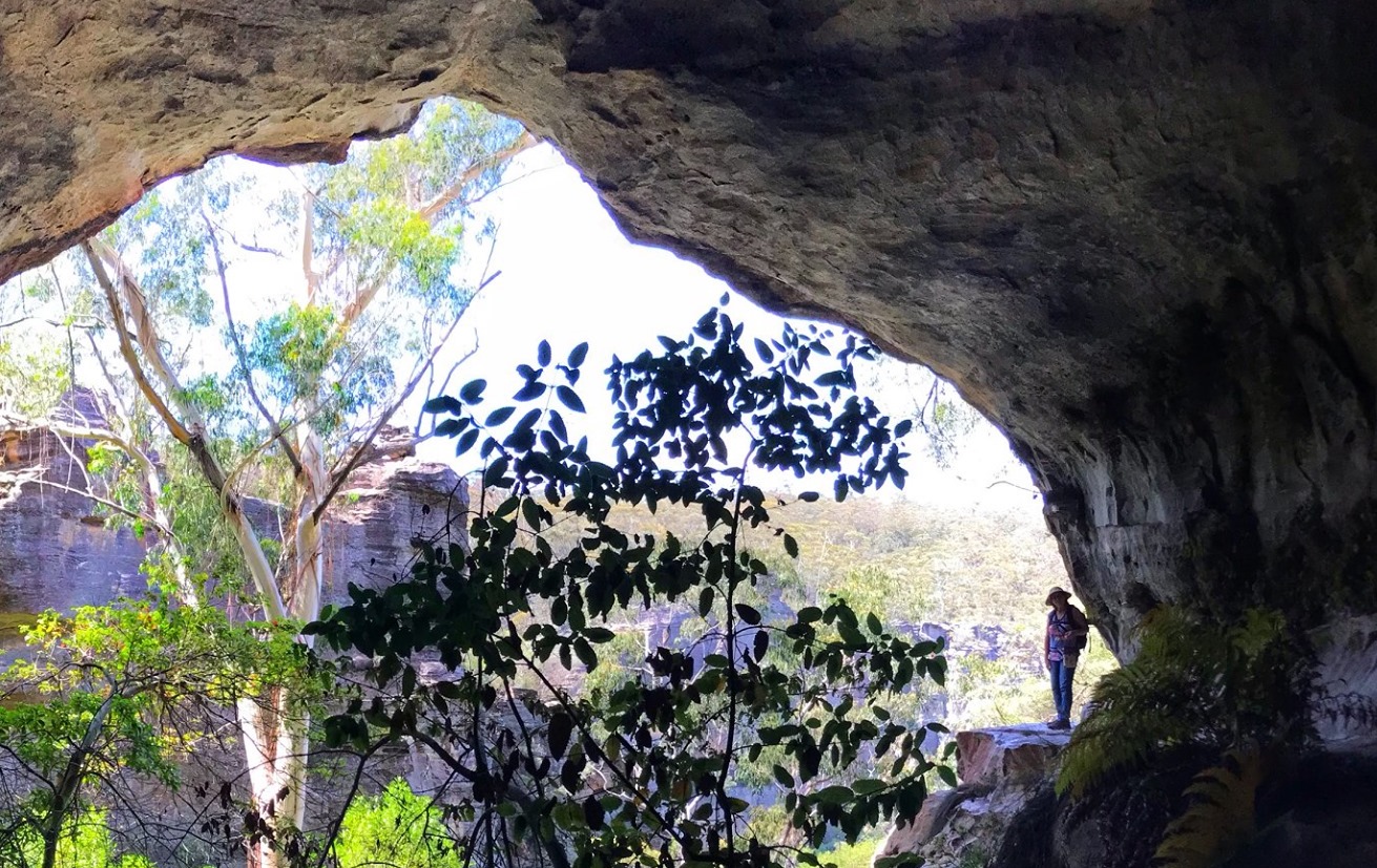 Coxs Cave and Fairy Bower Reserve Circuit