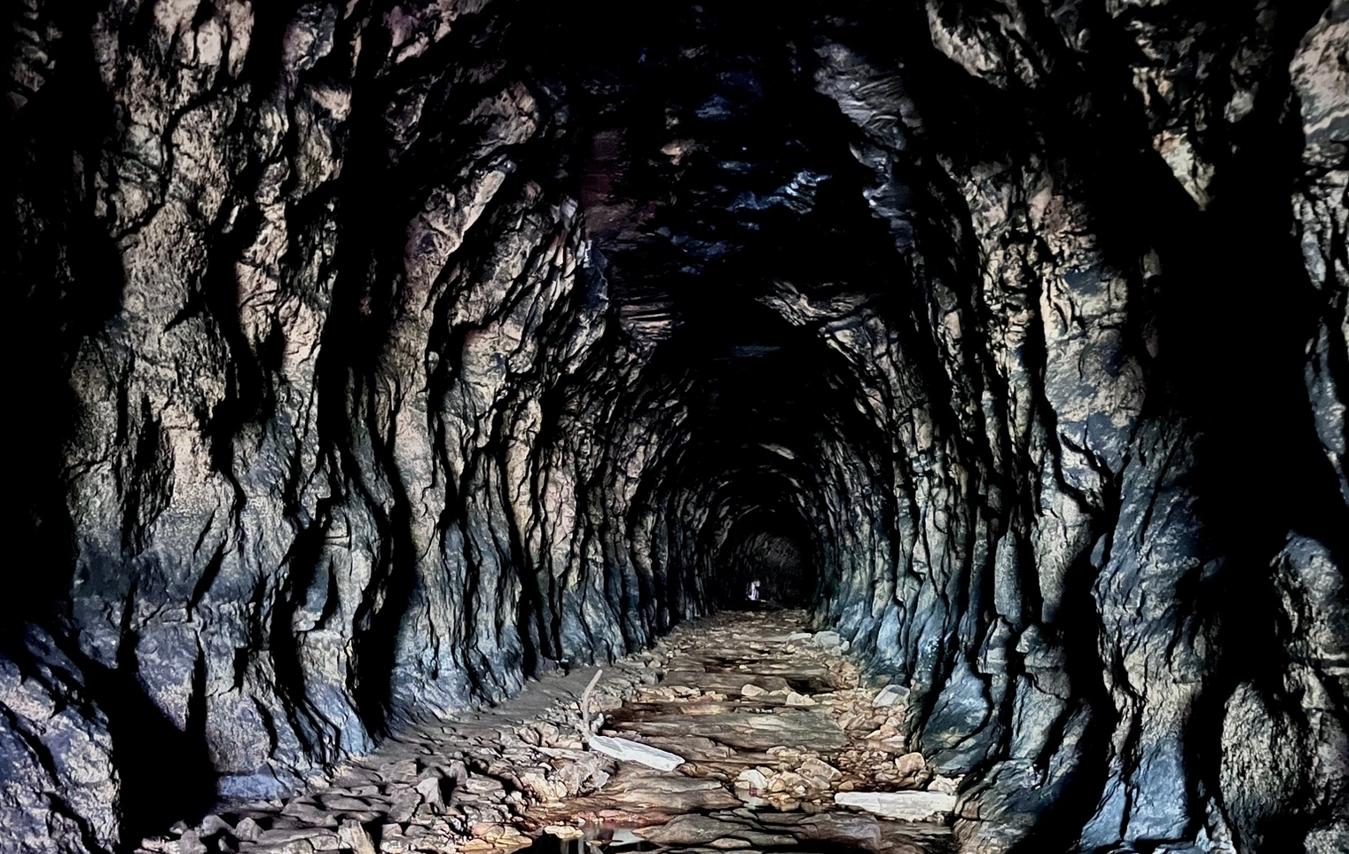 Glow Worm Tunnel