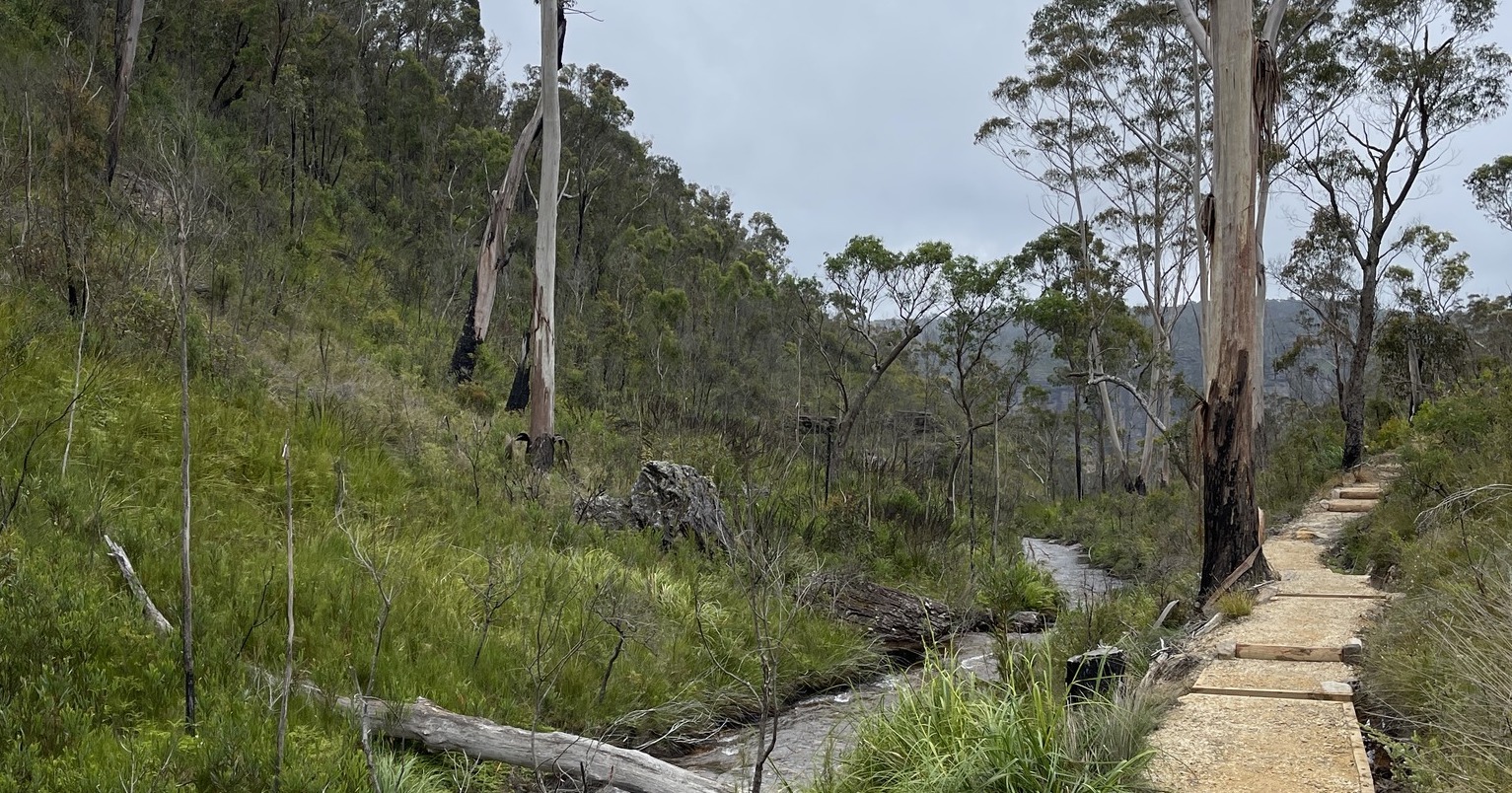 Braeside Trail