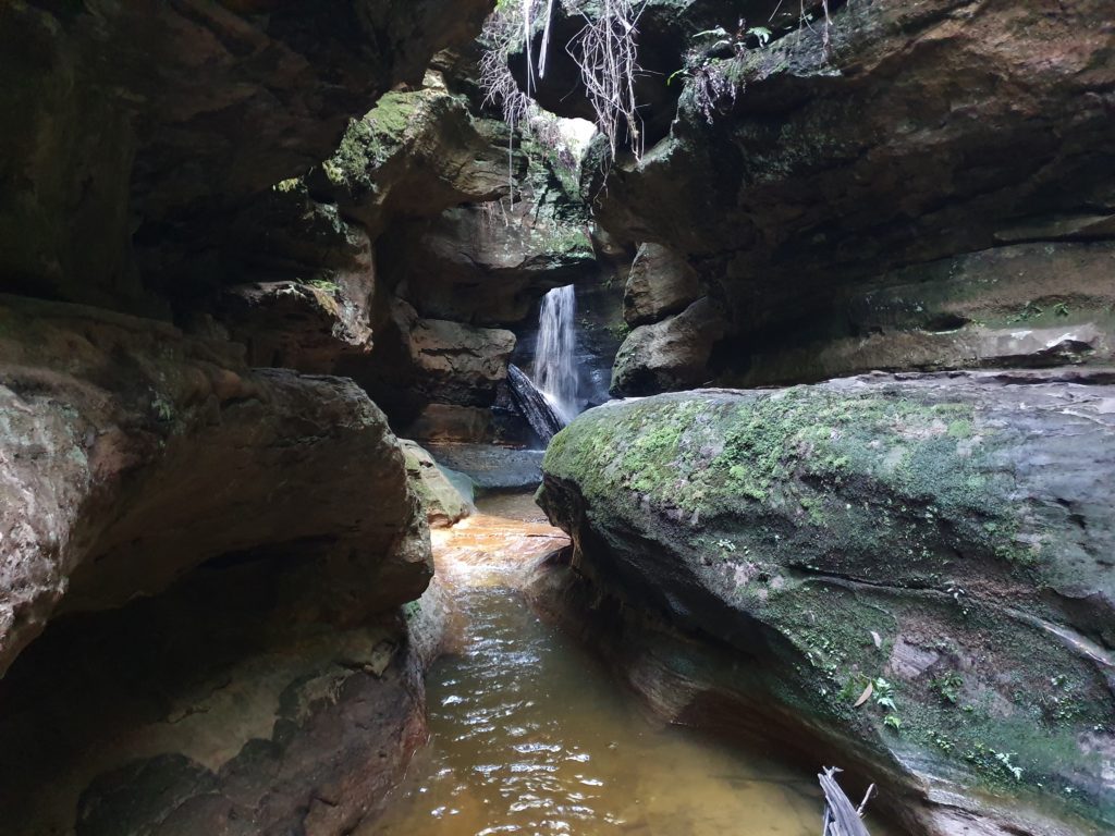 Centennial Grove Grotto "Canyon"