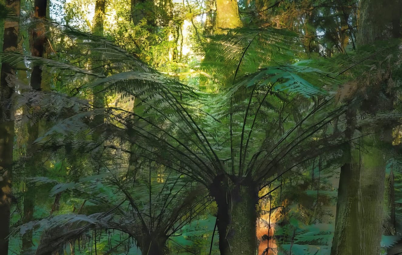 Cathedral of Ferns