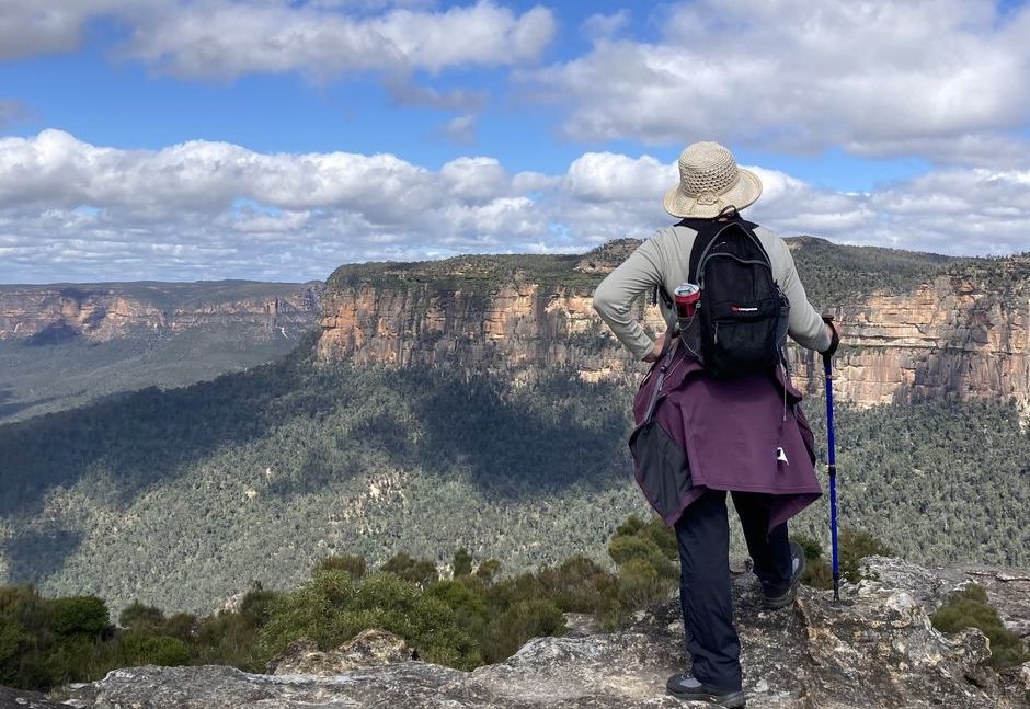 Walls Lookout Walking Track