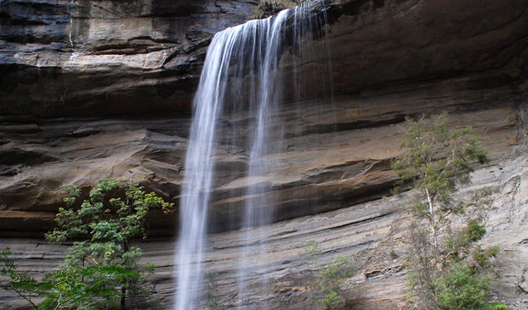 Victoria Falls and Silver Cascades walking track