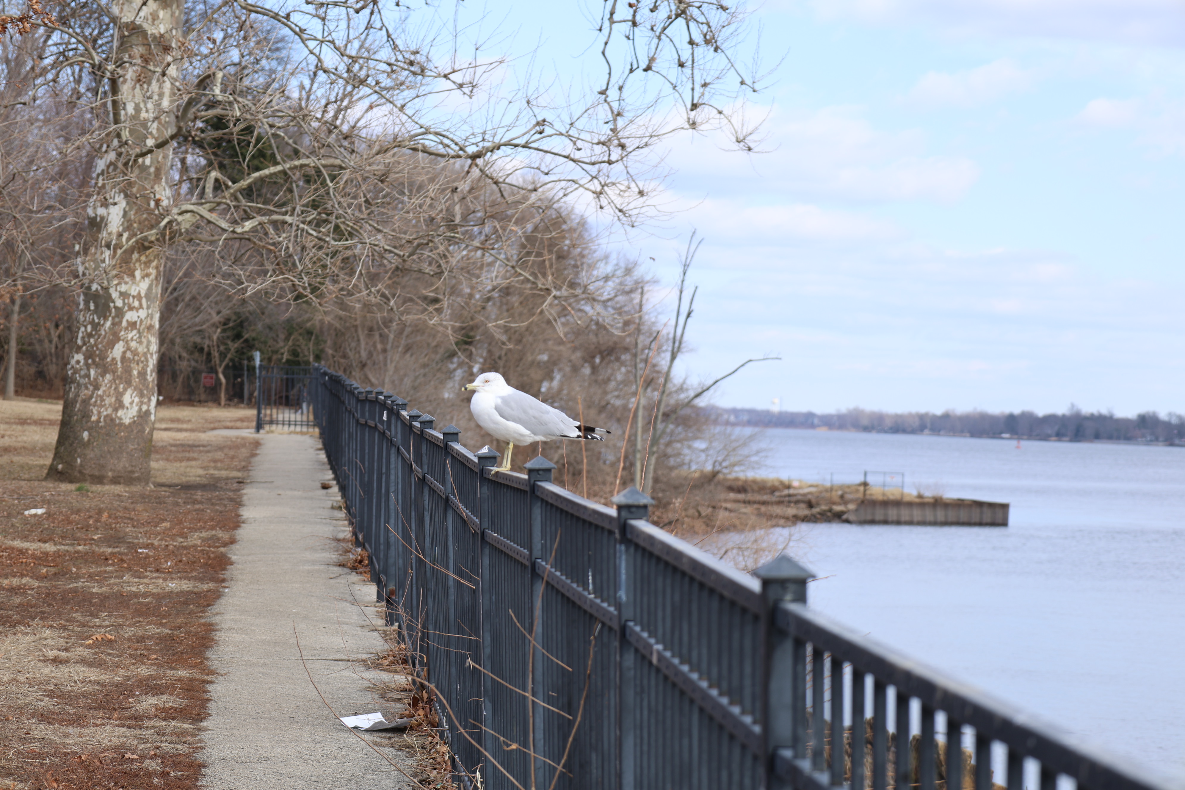 Pleasant Hill Park
