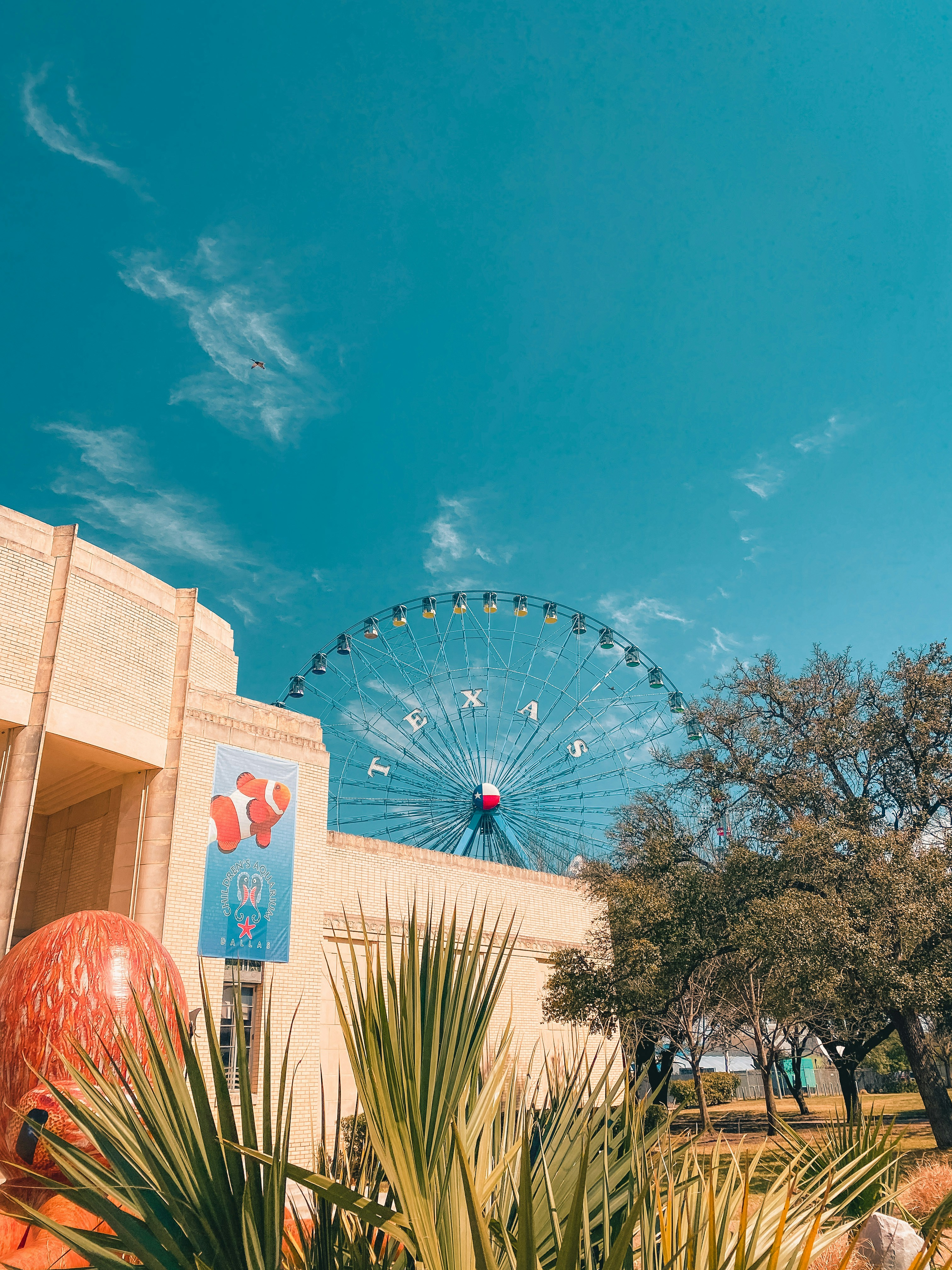 Moving guide to Dallas-Fort Worth,Texas