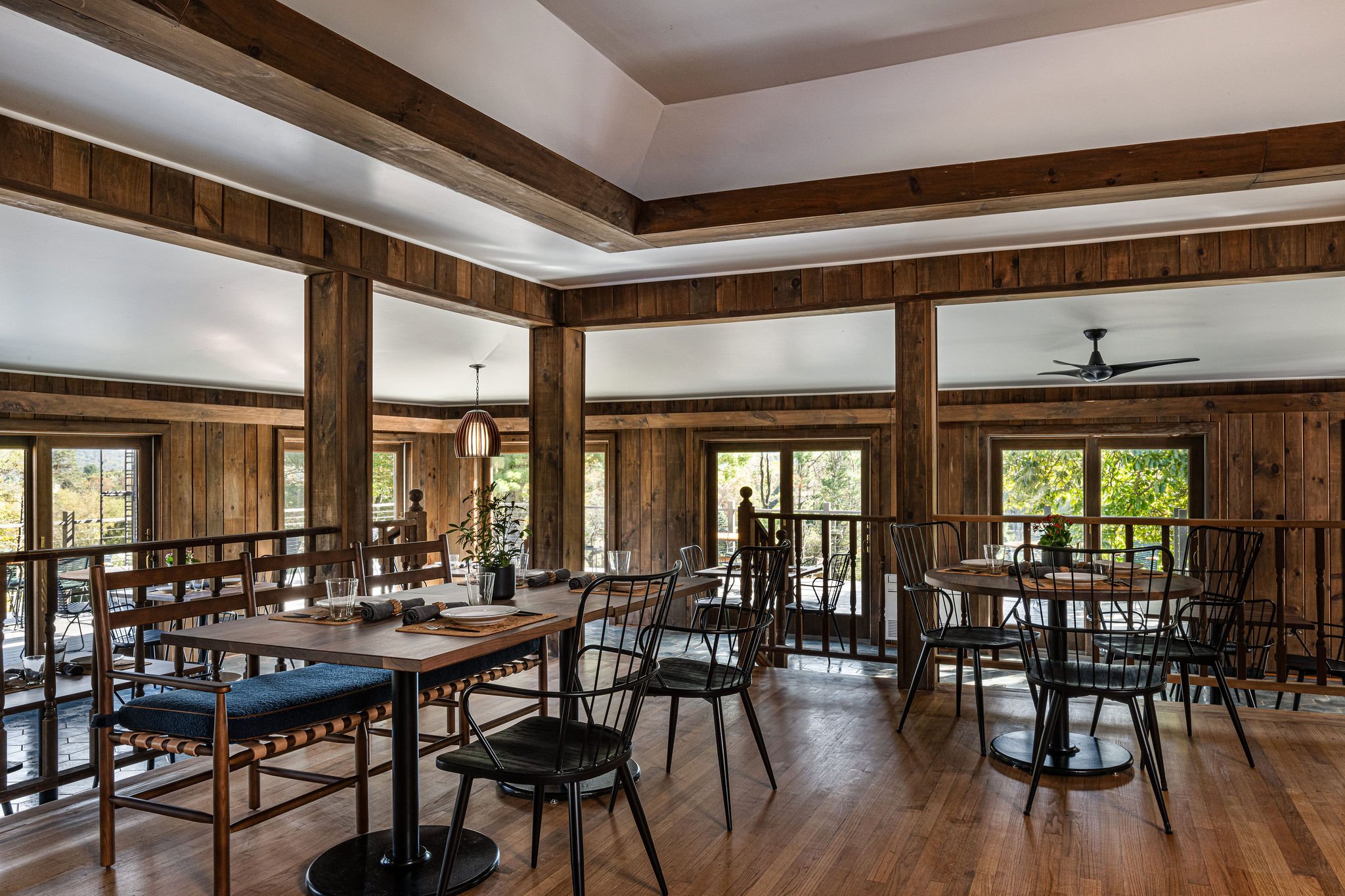 Bittersweet At Hemlock Neversink