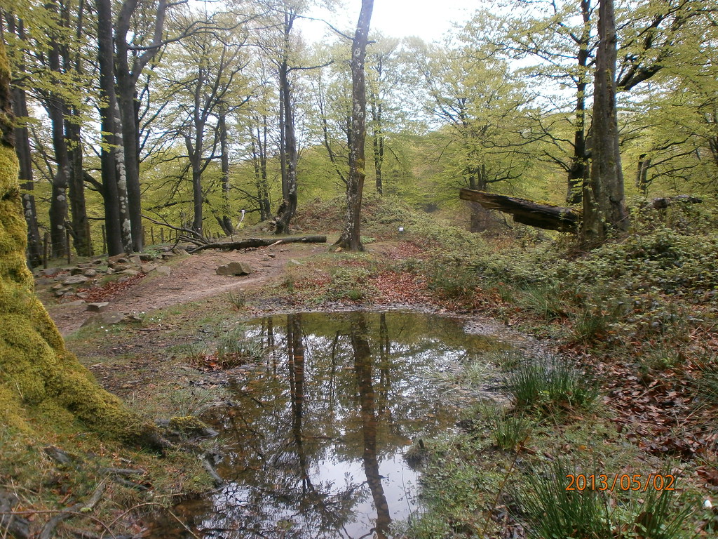 Dolmen Igartza Oeste