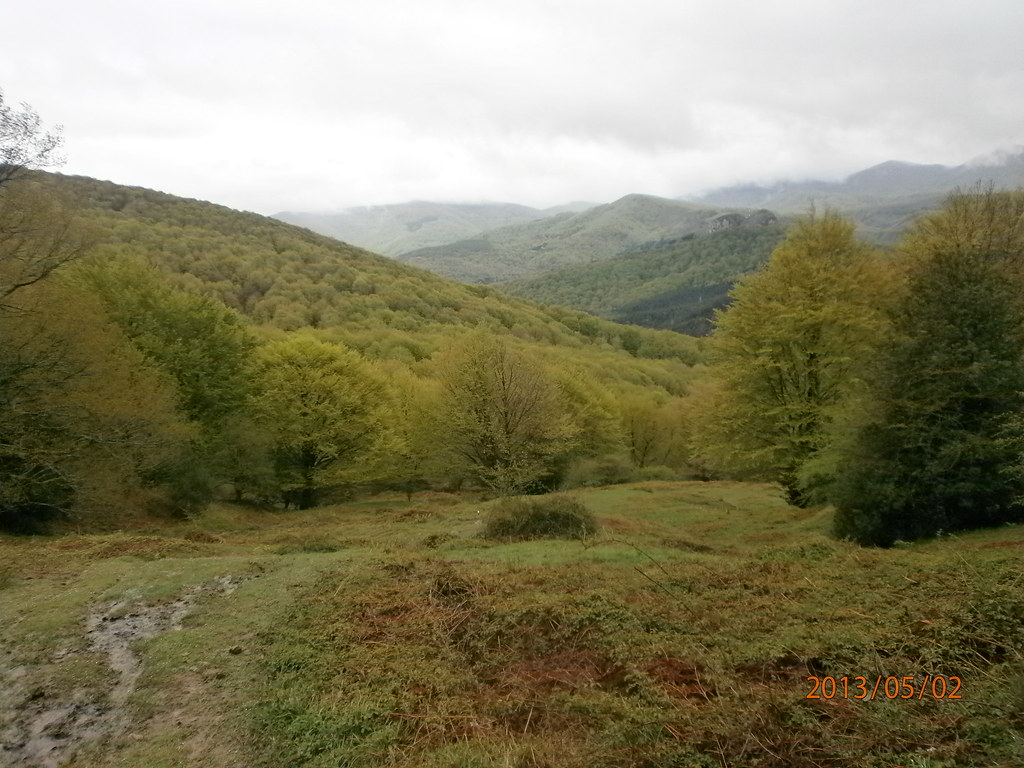 Hayedo de Alzania
