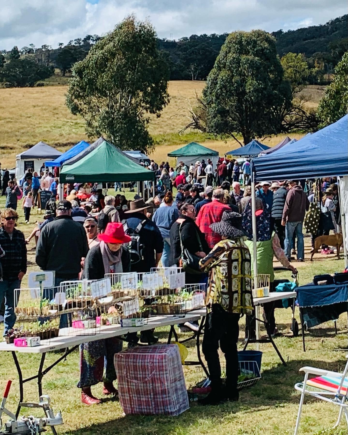 Tarana Community Farmers Market