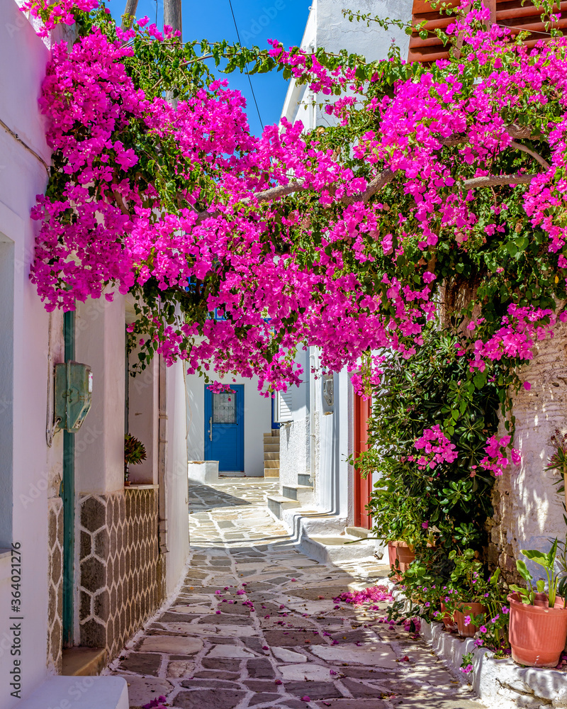 Prodromos