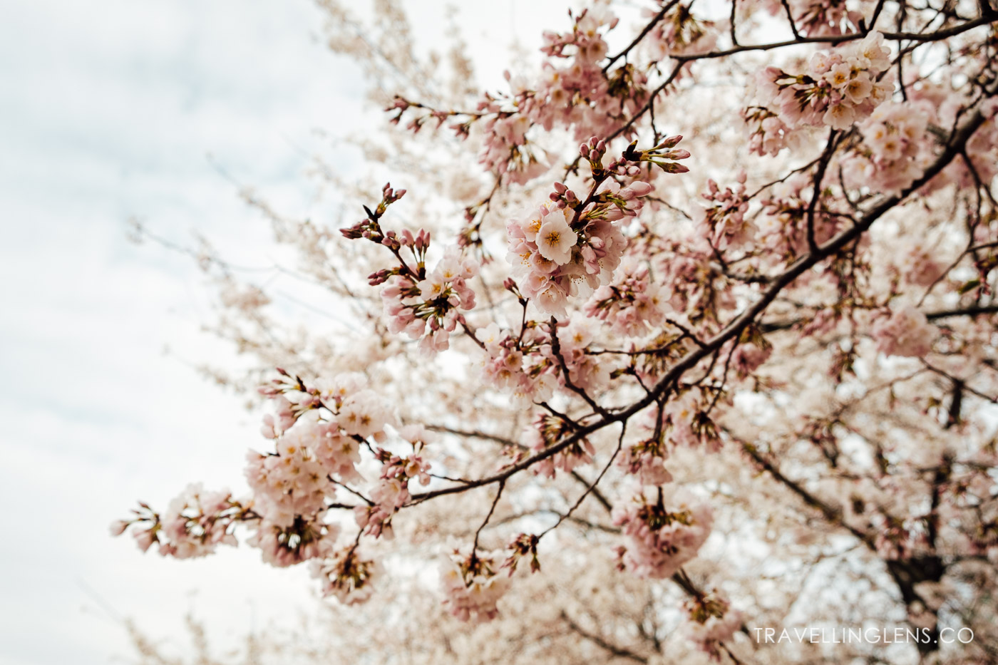 Off The Beaten Path: Washington DC