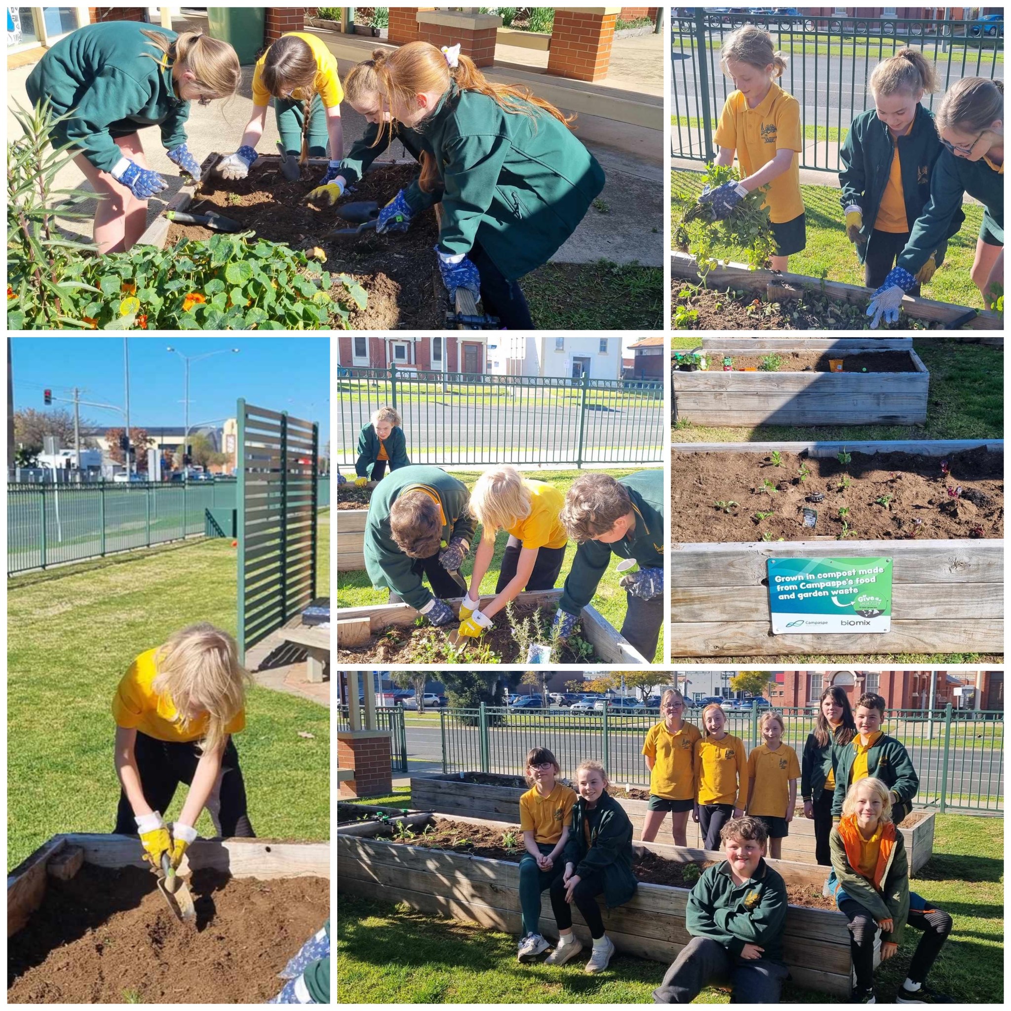 Healthy Schools Project, Echuca 208 Primary School