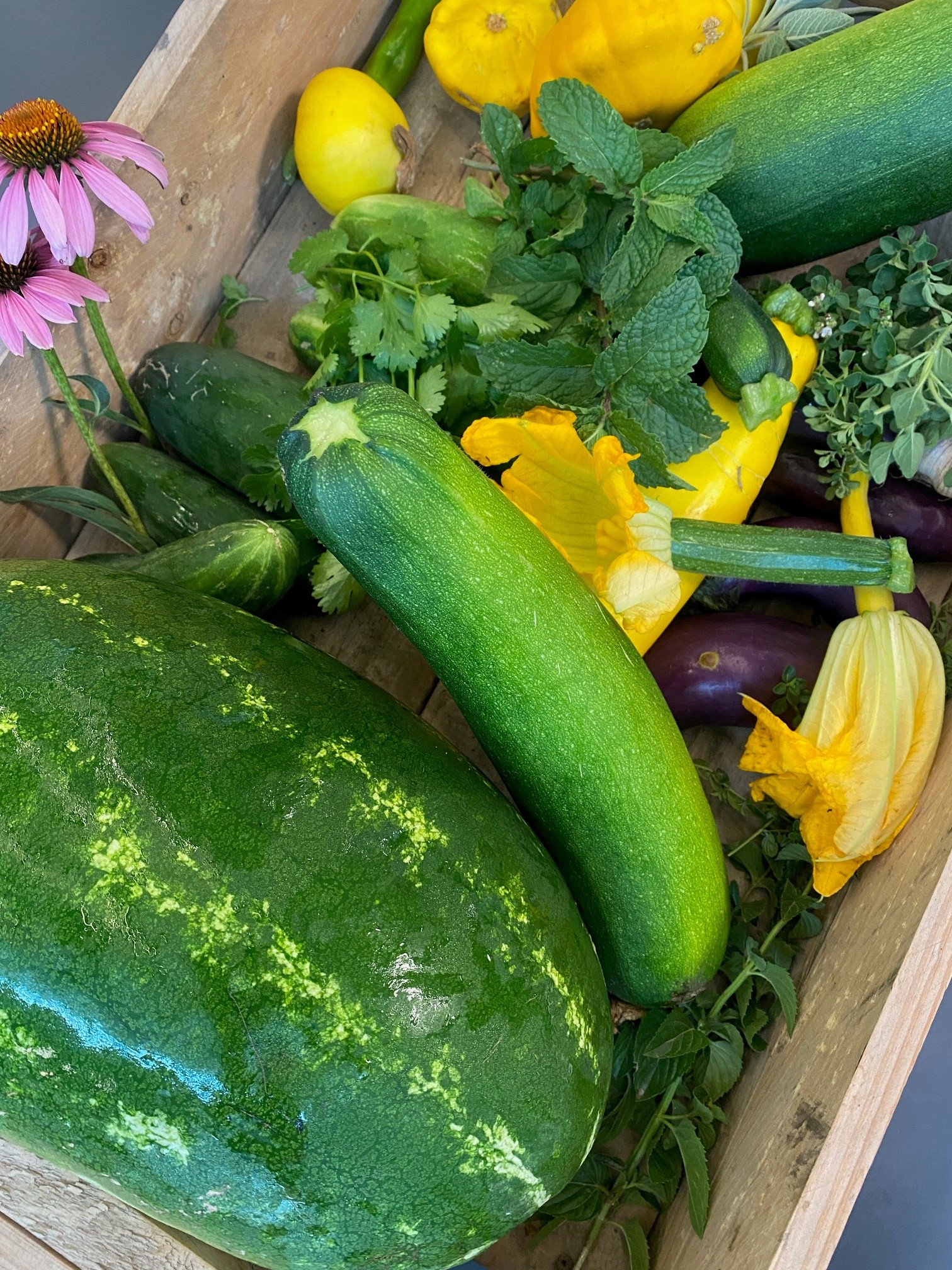 School Kitchen Garden Project, Echuca Twin Rivers Specialist School
