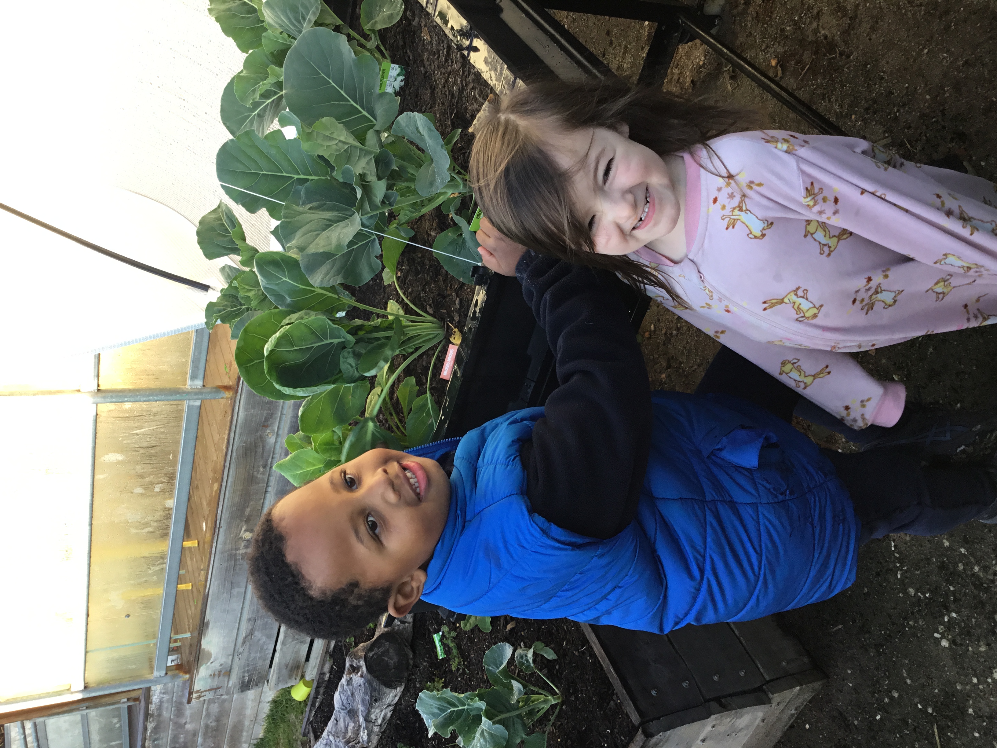 Kitchen Garden Program Rochester & District Childcare Centre
