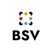 BSV Ventures