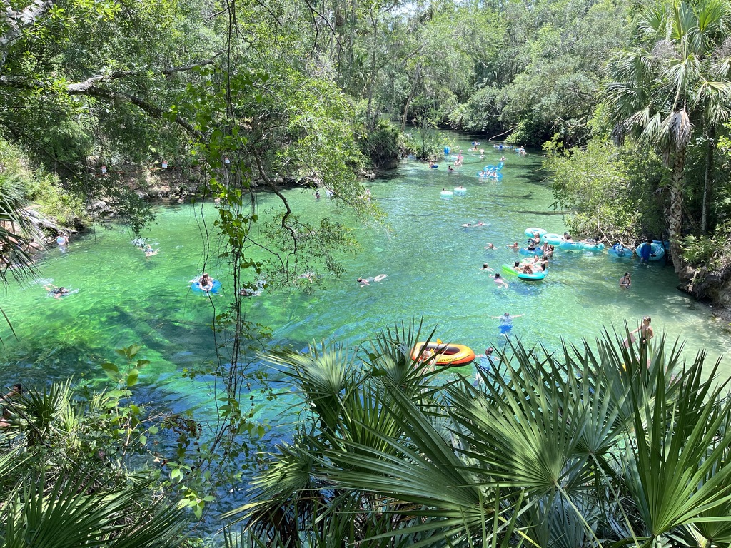 Blue Spring State Park