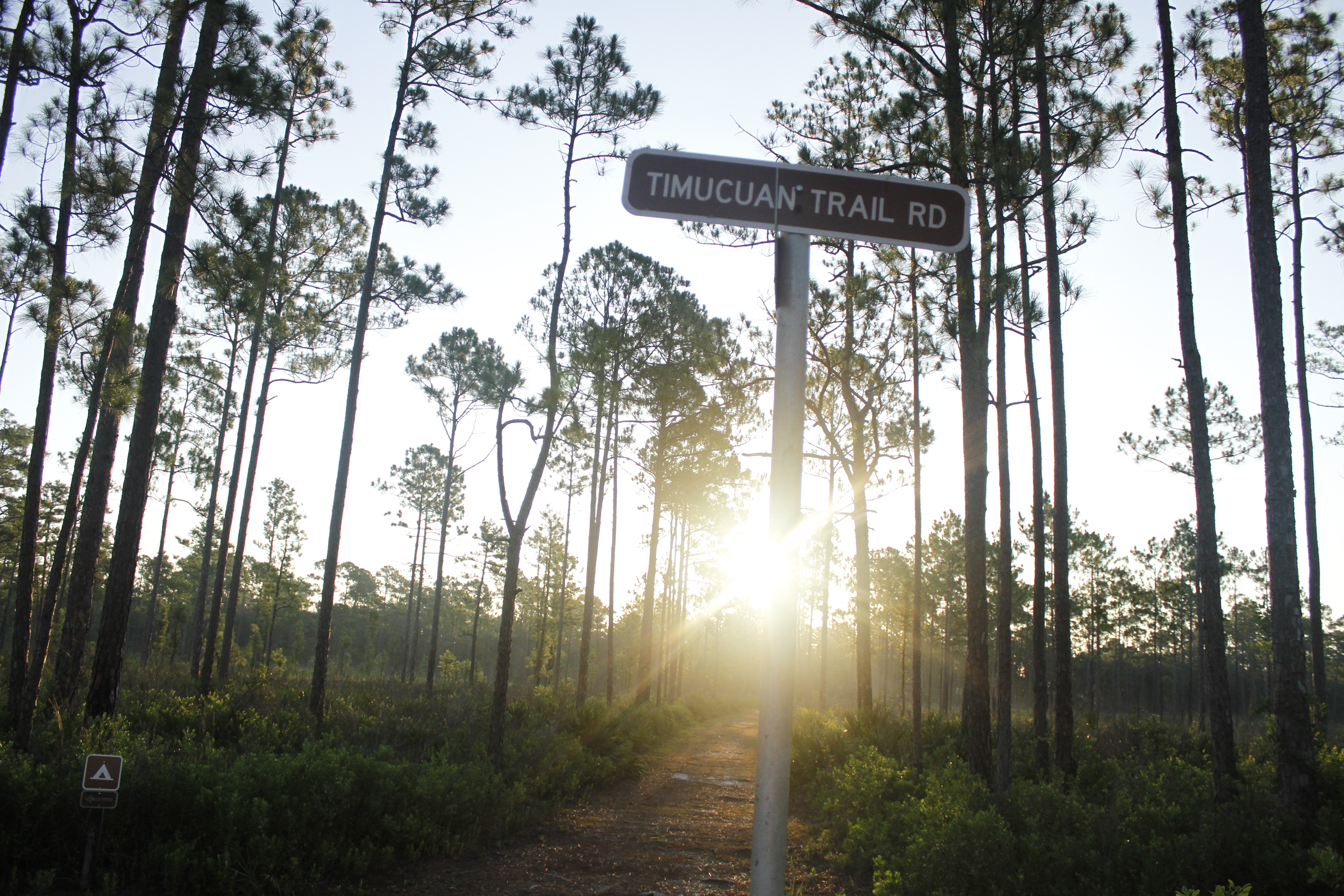 Hontoon Island State Park