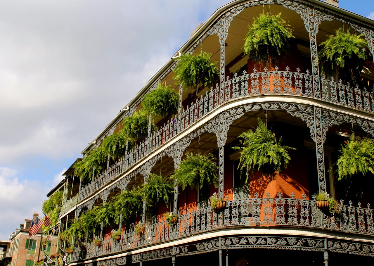 Hello, New Orleans