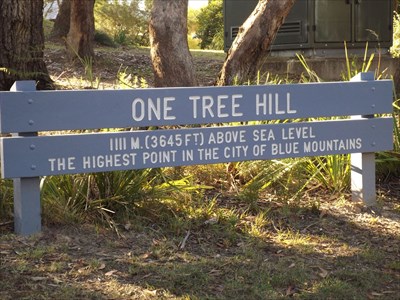 One Tree Hill