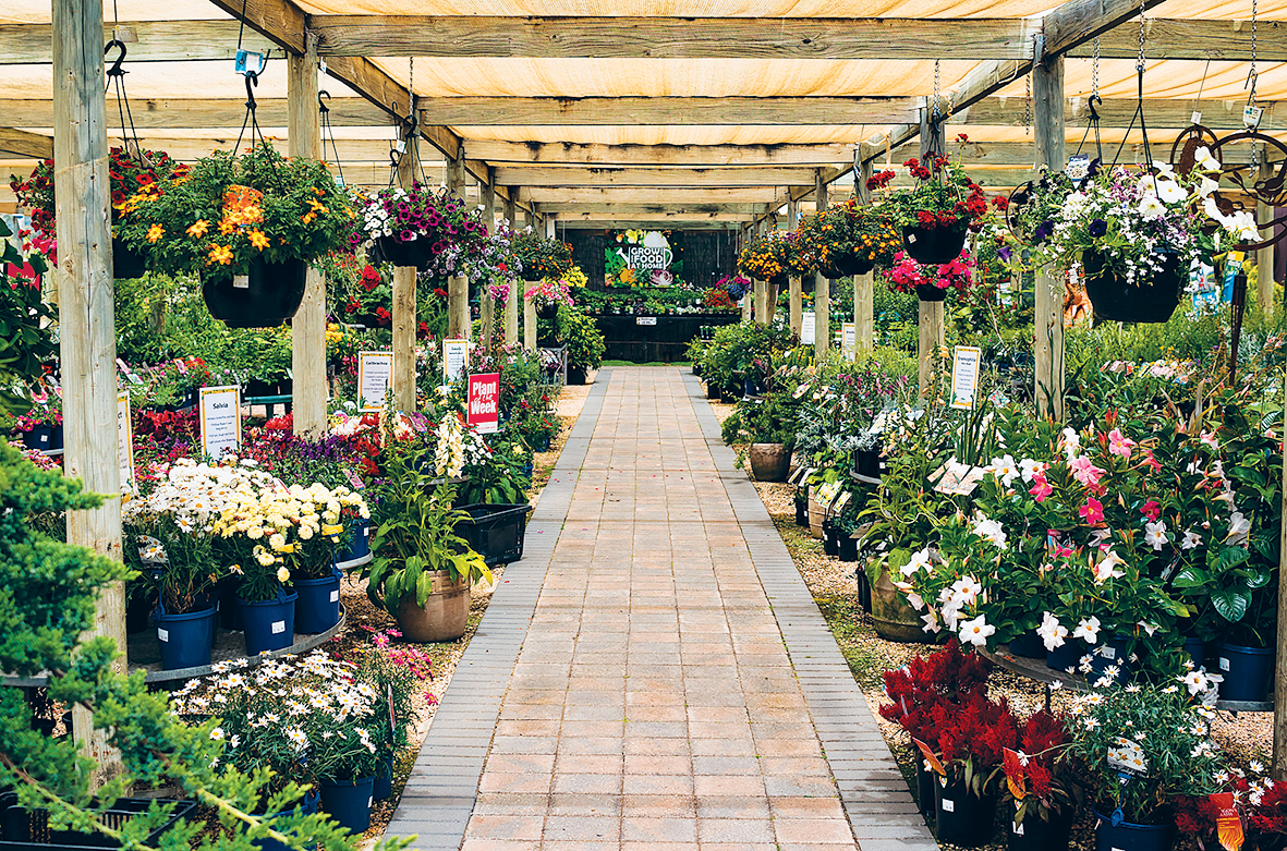 Garden Centre Experience