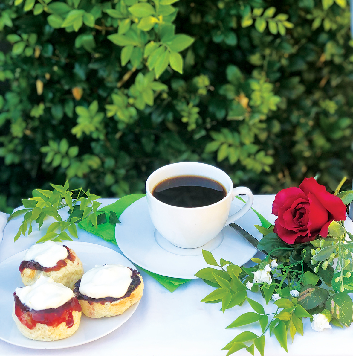 Devonshire Morning Tea and Open Garden