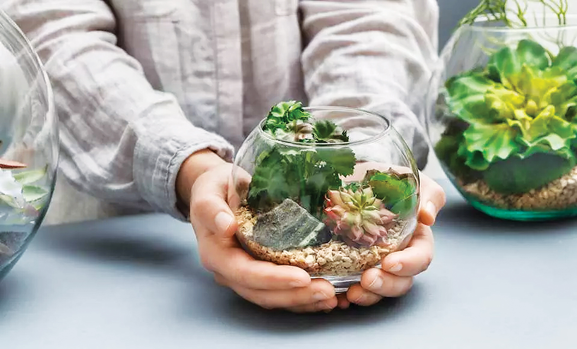 Terrarium Workshop 