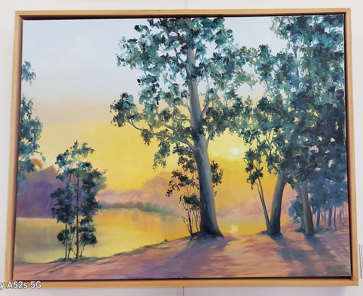 Loxton Parish Hall Gallery Exhibition 