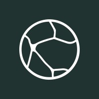 Kintsugi AI