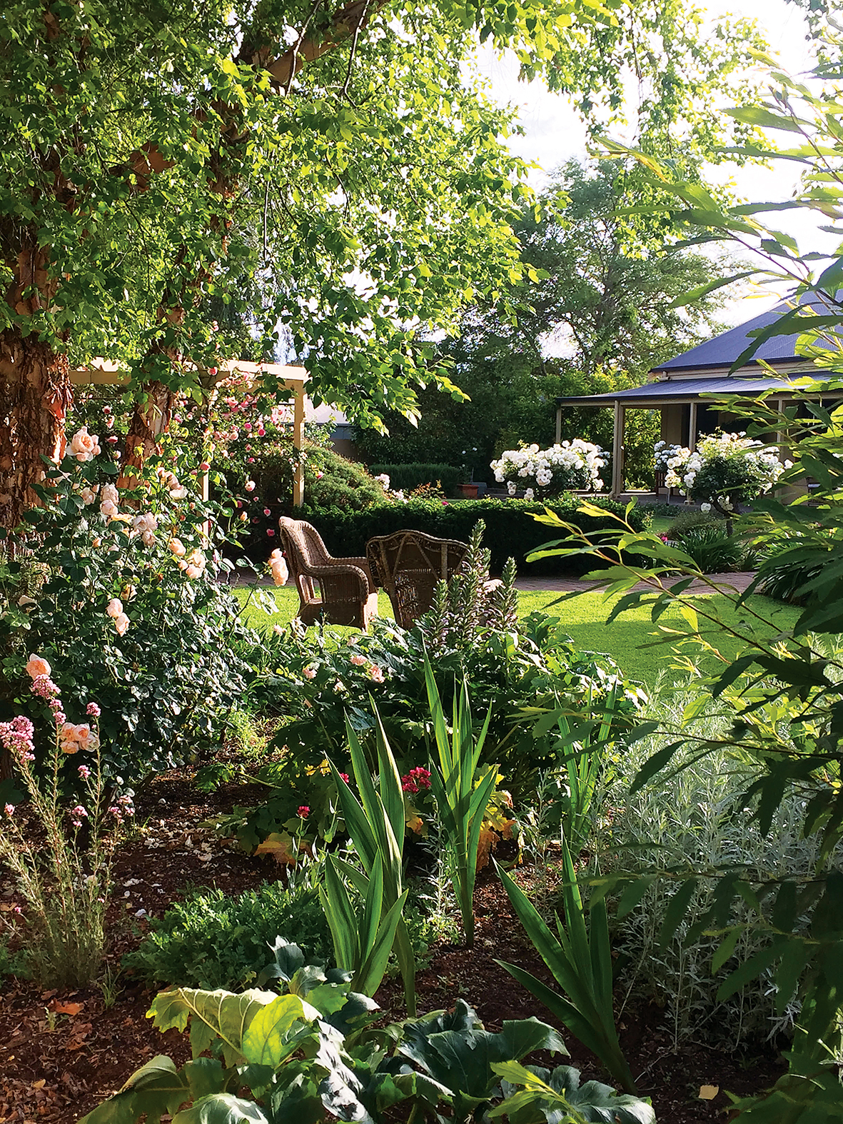 Dominic Garden