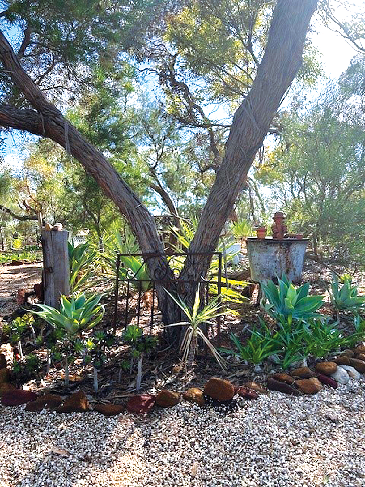 Markellos Garden