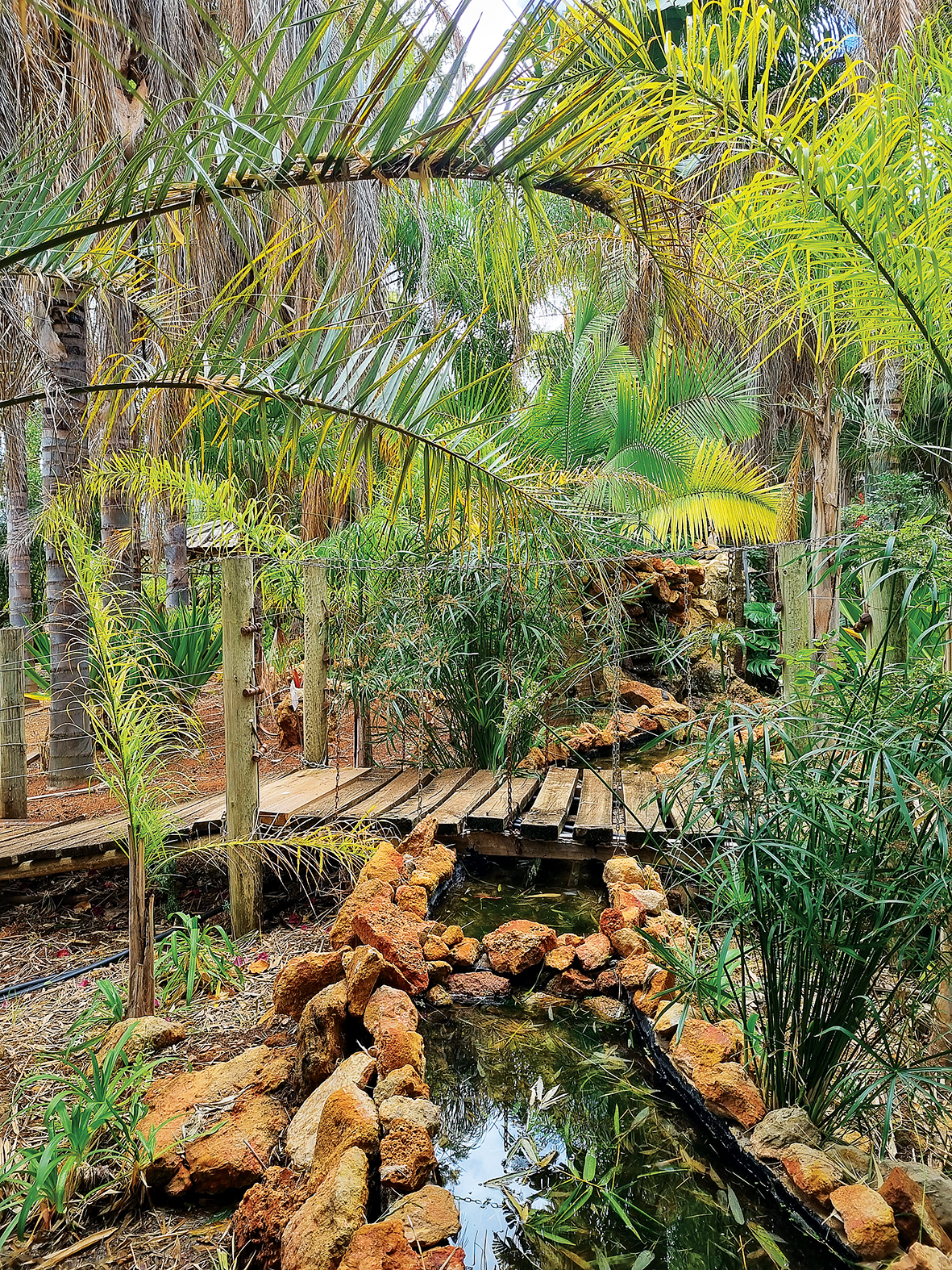 Rodney Andary Garden