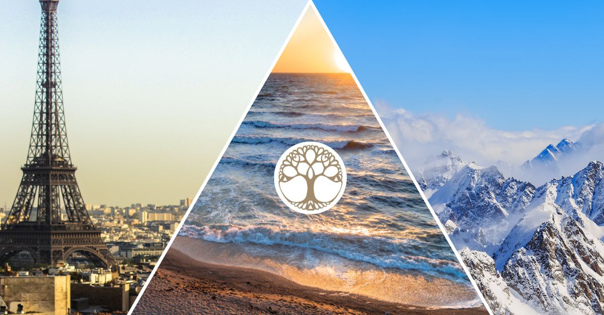 ADONIS HÔTEL AVIGNON SUD