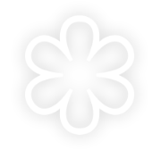 HÔTEL RESTAURANT ALAIN LLORCA