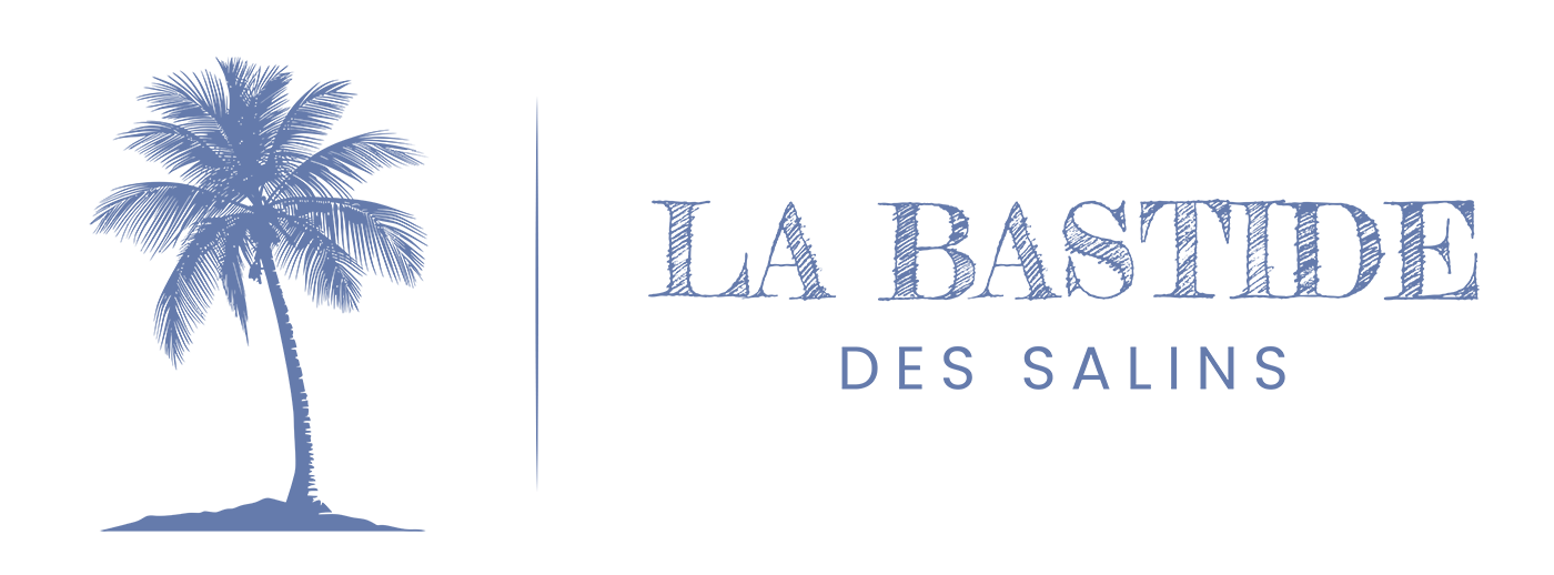 LA BASTIDE DES SALINS