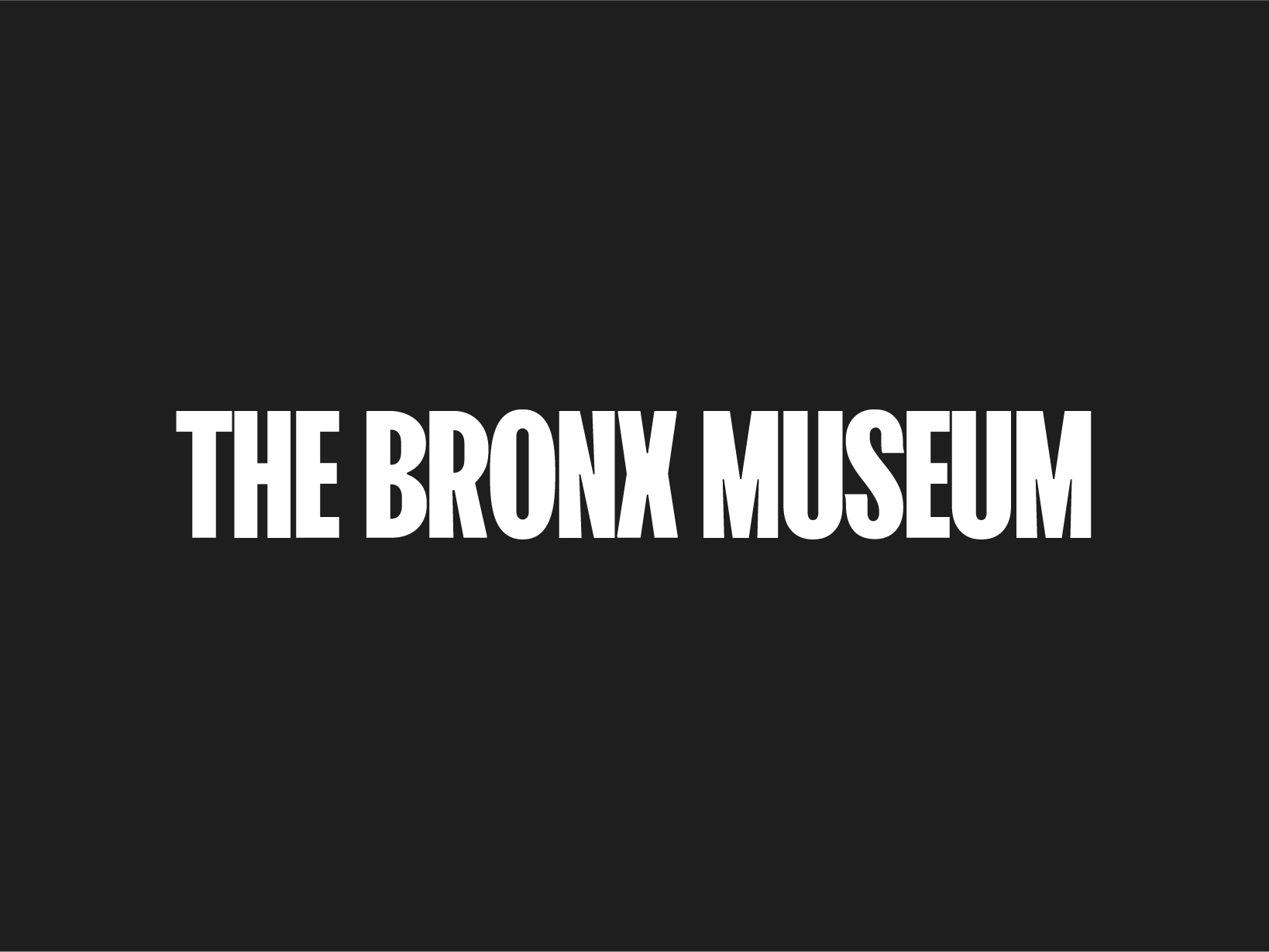 Bronx Museum of the Arts