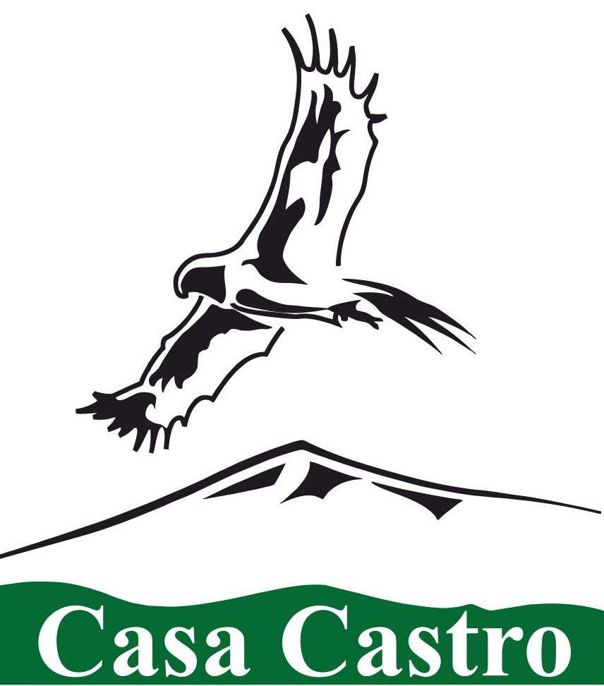 Casa Castro