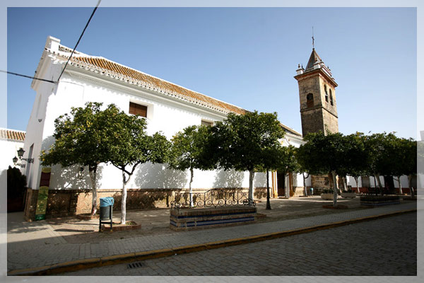 Olivo, El