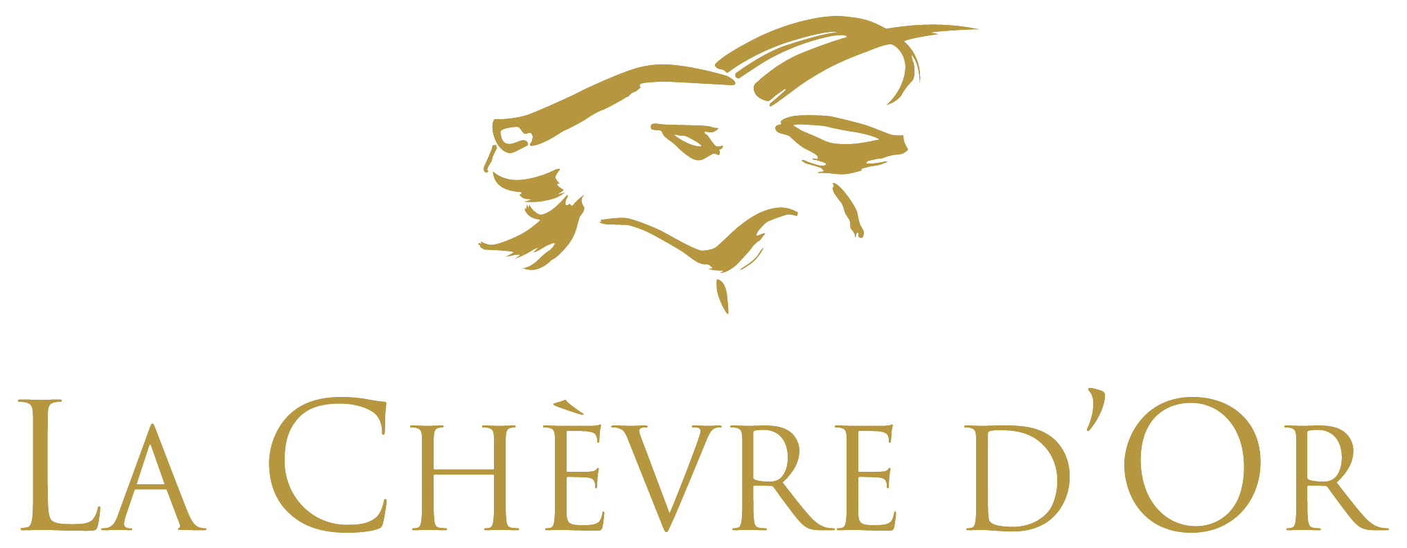 CHATEAU DE LA CHEVRE D'OR